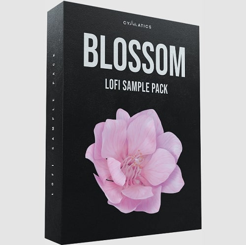 Cymatics – Blossom Lofi Sample Pack (MIDI, WAV)