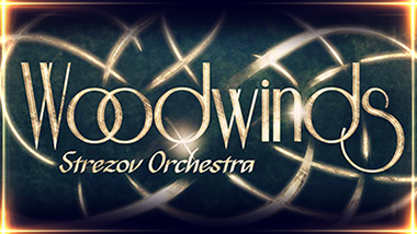 Strezov Sampling – Flute Ensemble (KONTAKT)
