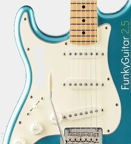 Pettinhouse – Funky Guitar v2.5 (KONTAKT)