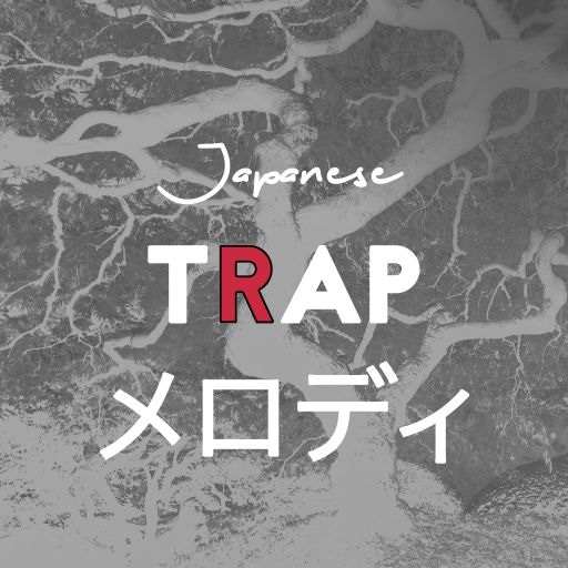 Whitenoise Records – Japanese Trap Melodies (WAV)