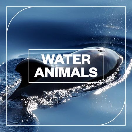 Blastwave FX – Water Animals (WAV)