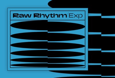 Raw Rhythm Expansion (MASCHINE, BATTERY, MONARK, MASSIVE)