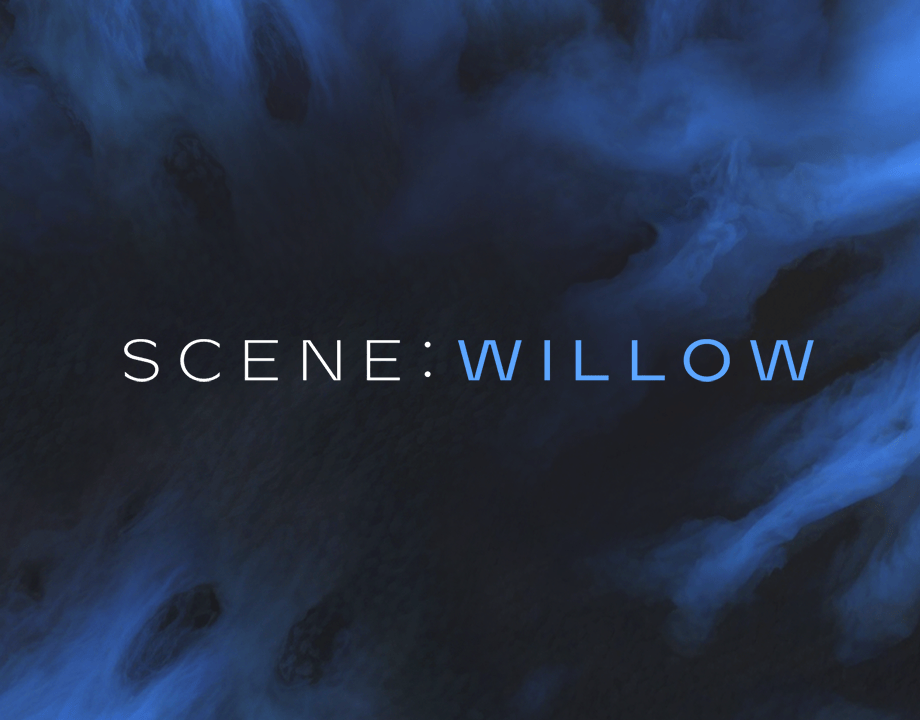 Scene: Willow (Kontakt)