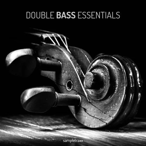 Sampletraxx – Double Bass Essentials KONTAKT