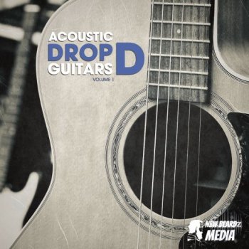 New Beard Media – Acoustic Drop D Guitars Vol.1 (WAV)