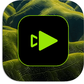 Topaz Video 1.1.1 (x64)