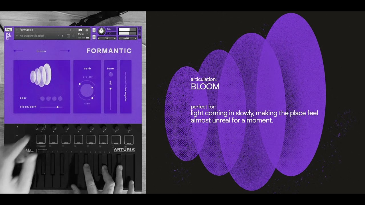 Inlet Audio – Formantic (Kontakt)