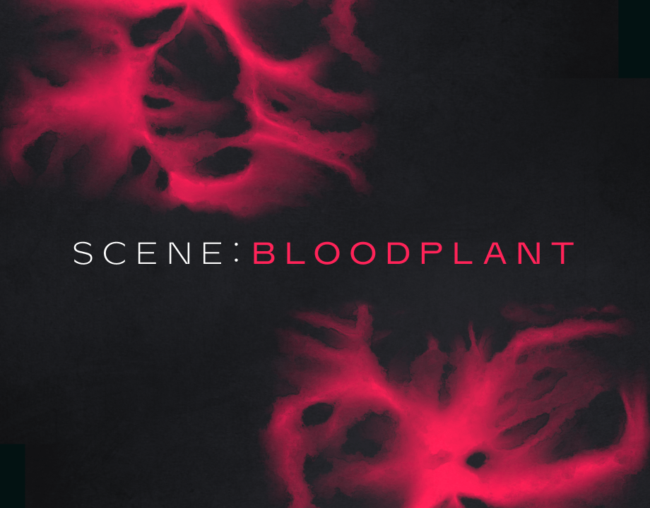Native Instruments – Scene Bloodplant 1.0.1 KONTAKT