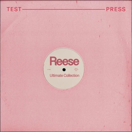 Test Press – Serum 2 Ultimate Reese (Serum2 PRESET, Wav, MIDI)
