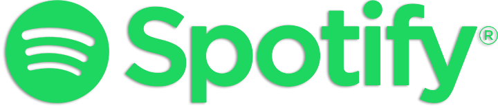 Spotify 1.2.85.504 (x64) Portable