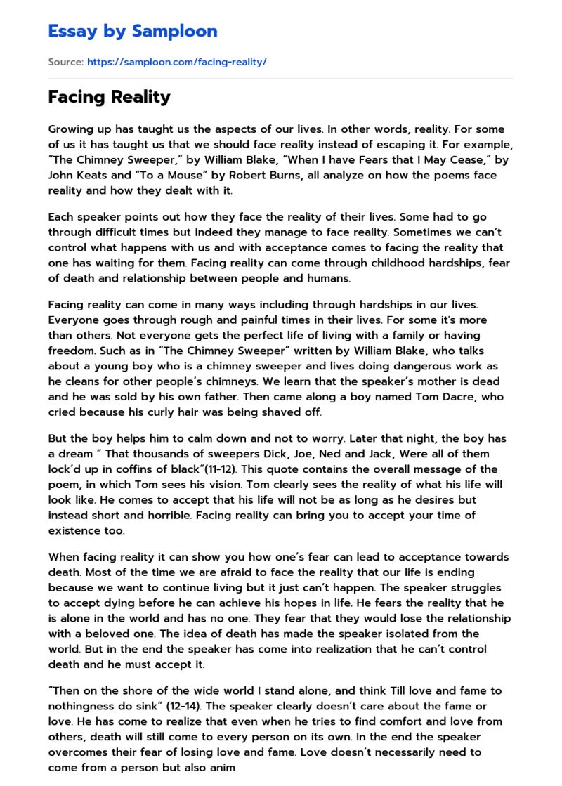 Pdf Facing Reality - Sunset Illustration Collection - Mobile Quality