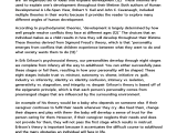 тйл Human Developmental Theories Free Essay Sample On Samploon