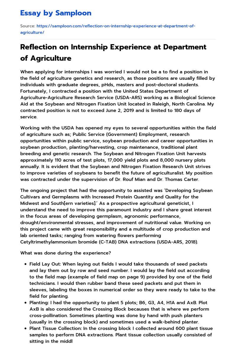 Internship Experience Free Essay Sample On Samploon Com - Landscape Illustrations - Professional HD Collection