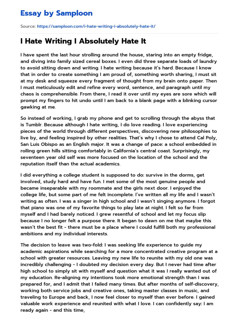 I Hate Writing - Premium Sunset Pattern Gallery - HD