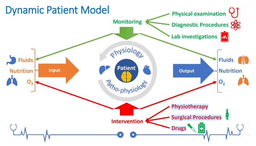 Read more about the article Dynamic Patient Model