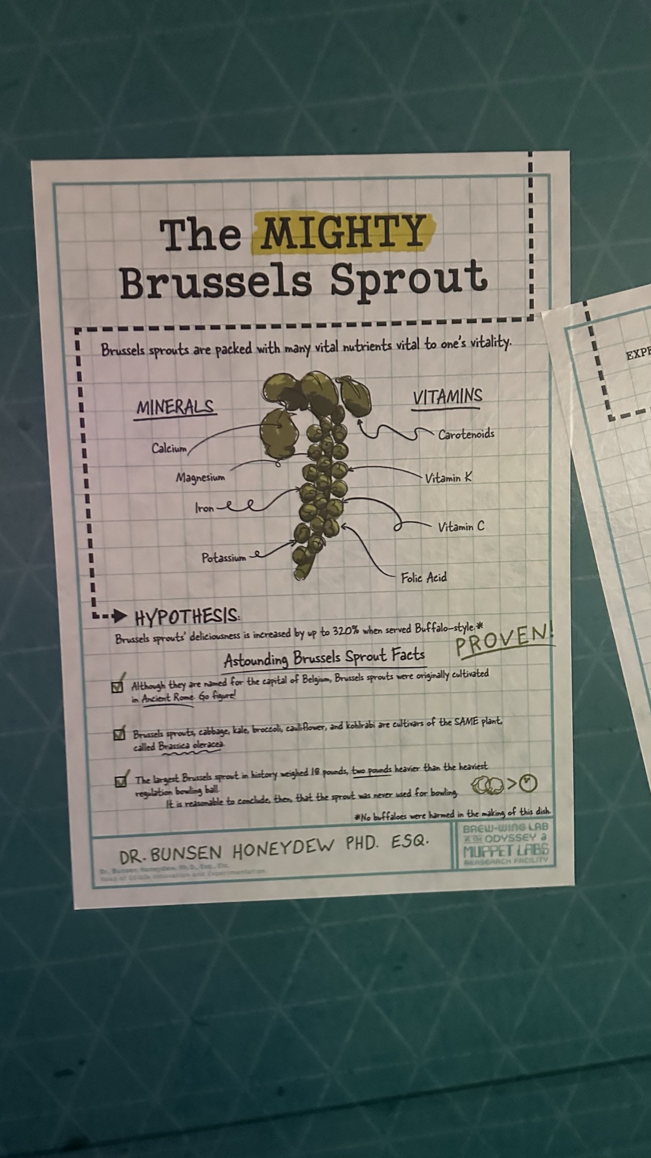 Discover the Madcap World of Brew-Wing Lab: Culinary Creations and Mishaps | Epcot Food & Wine 2023