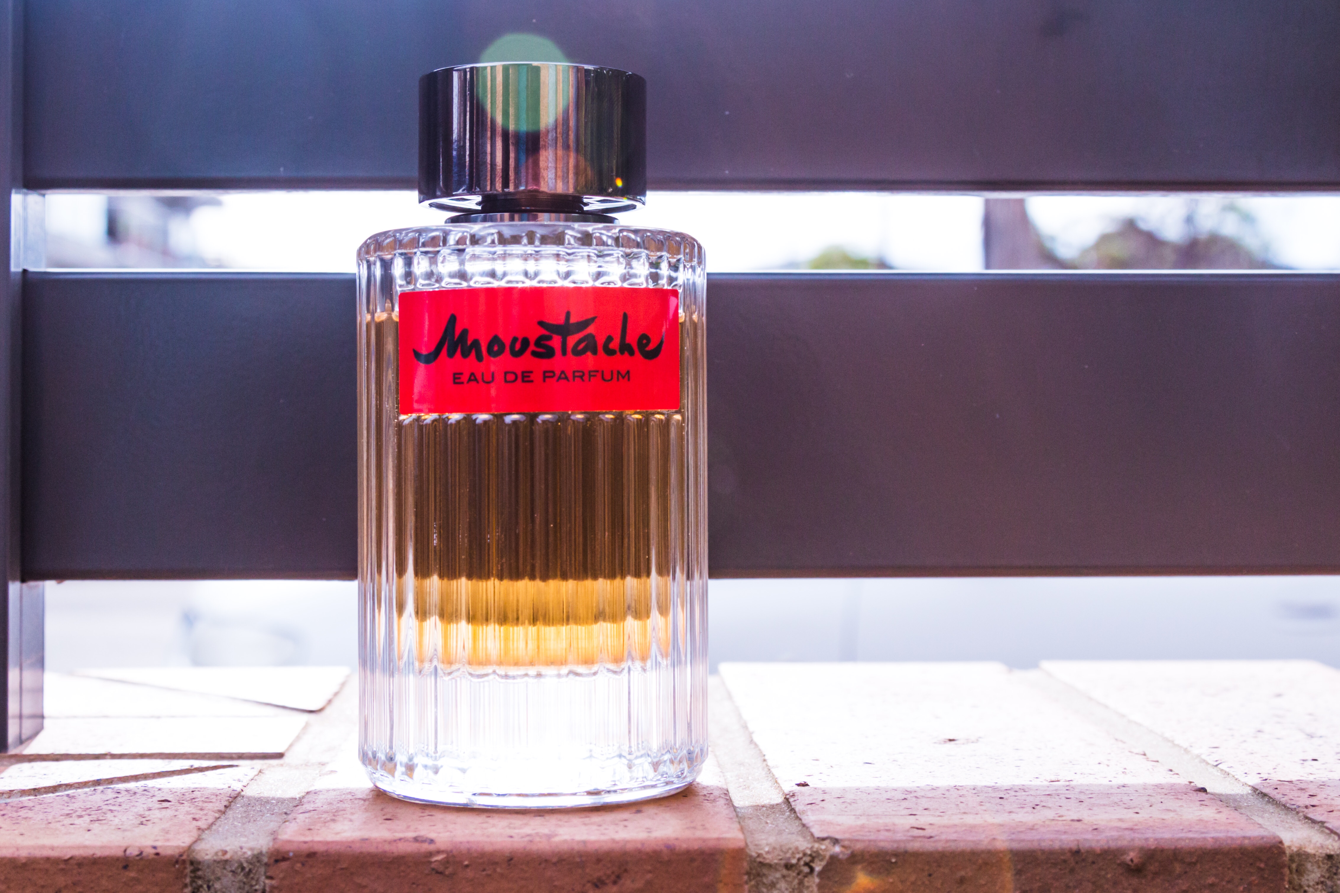 Rochas Moustache: The Tuxedo Killer? – SamTalksStyle