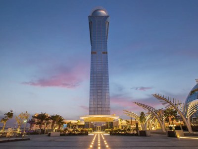 the view palm