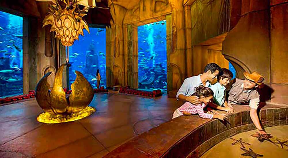 Lost Chamber Aquarium