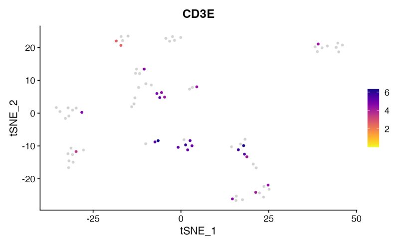 Customize Featureplot Featureplot Sccustom Sccustomize - High Resolution City Photos for Desktop