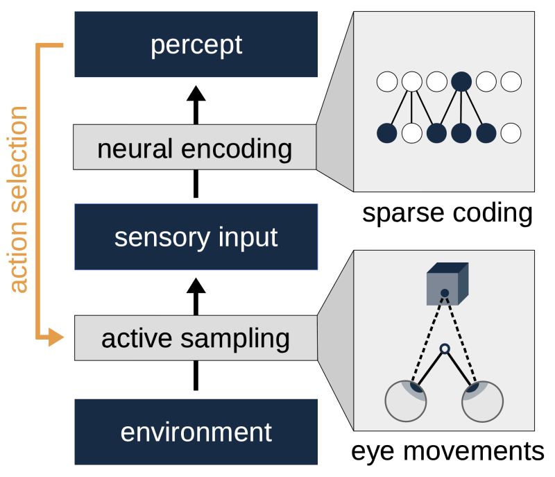 Github Mdhamani Van Eck Sequence - Ultra HD Desktop Geometric Patterns | Free Download