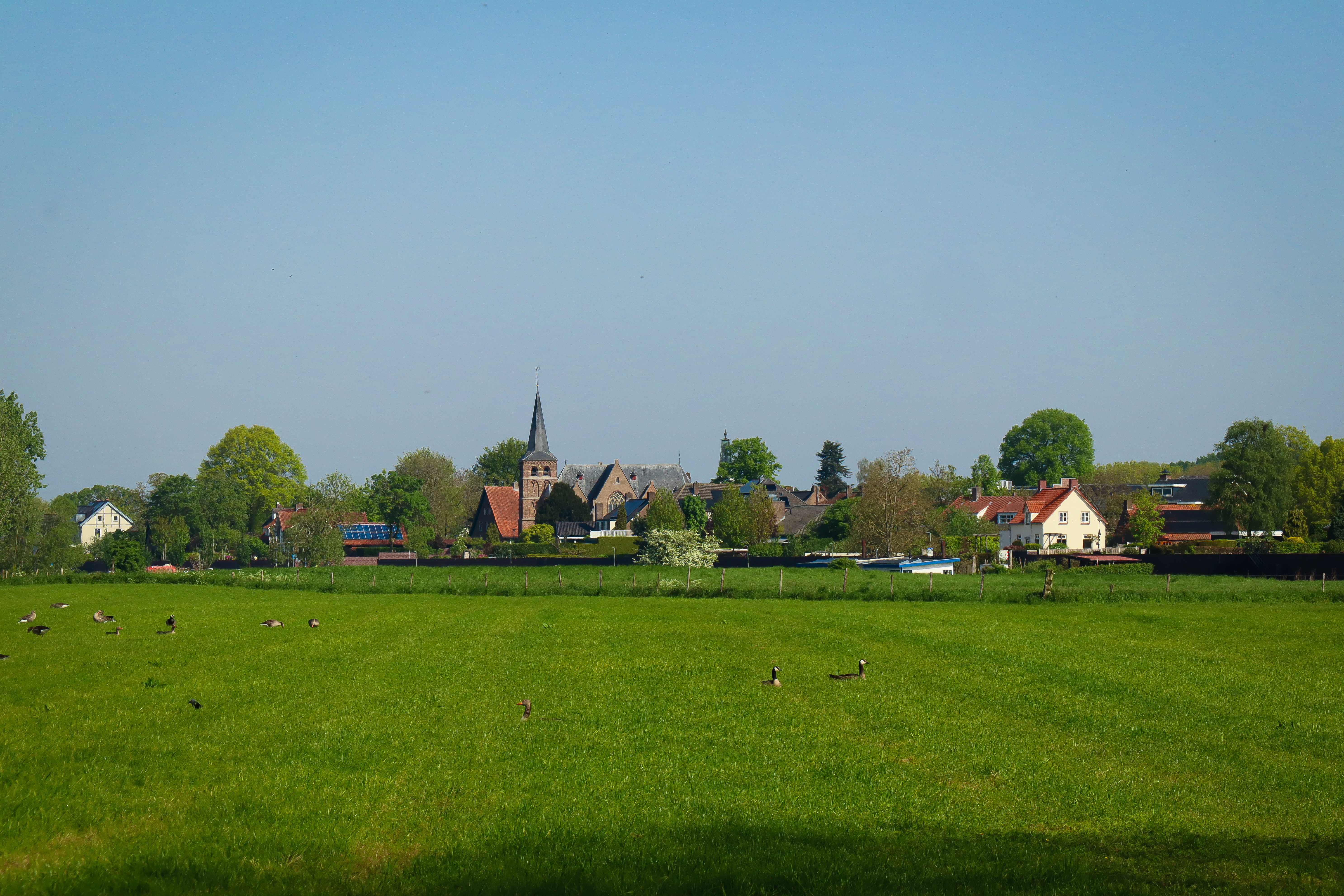 Uitzicht bij Cuijk tijdens de NS-wandeling Mookerheide