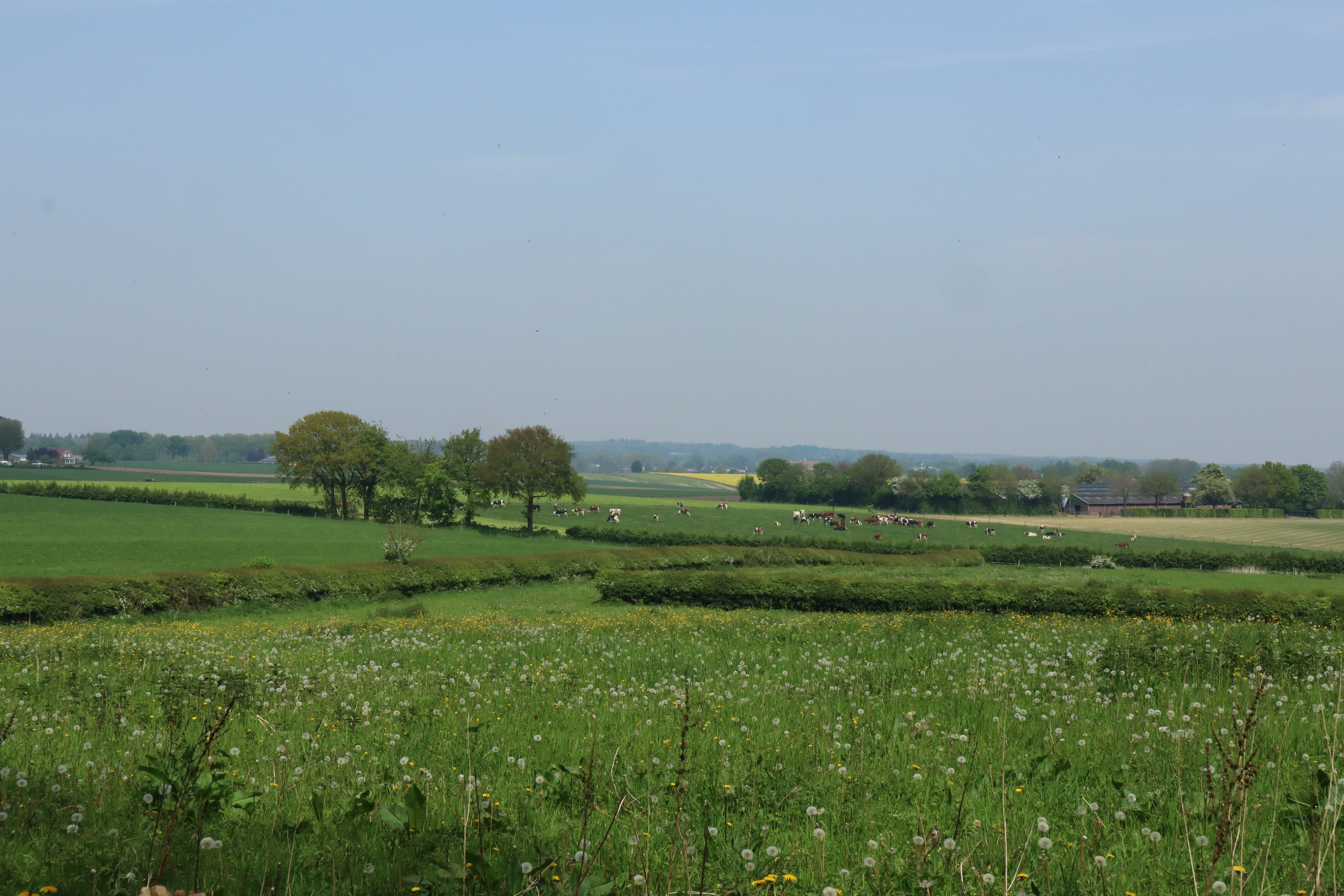Weids uitzicht over de Mookerheide richting Groesbeek