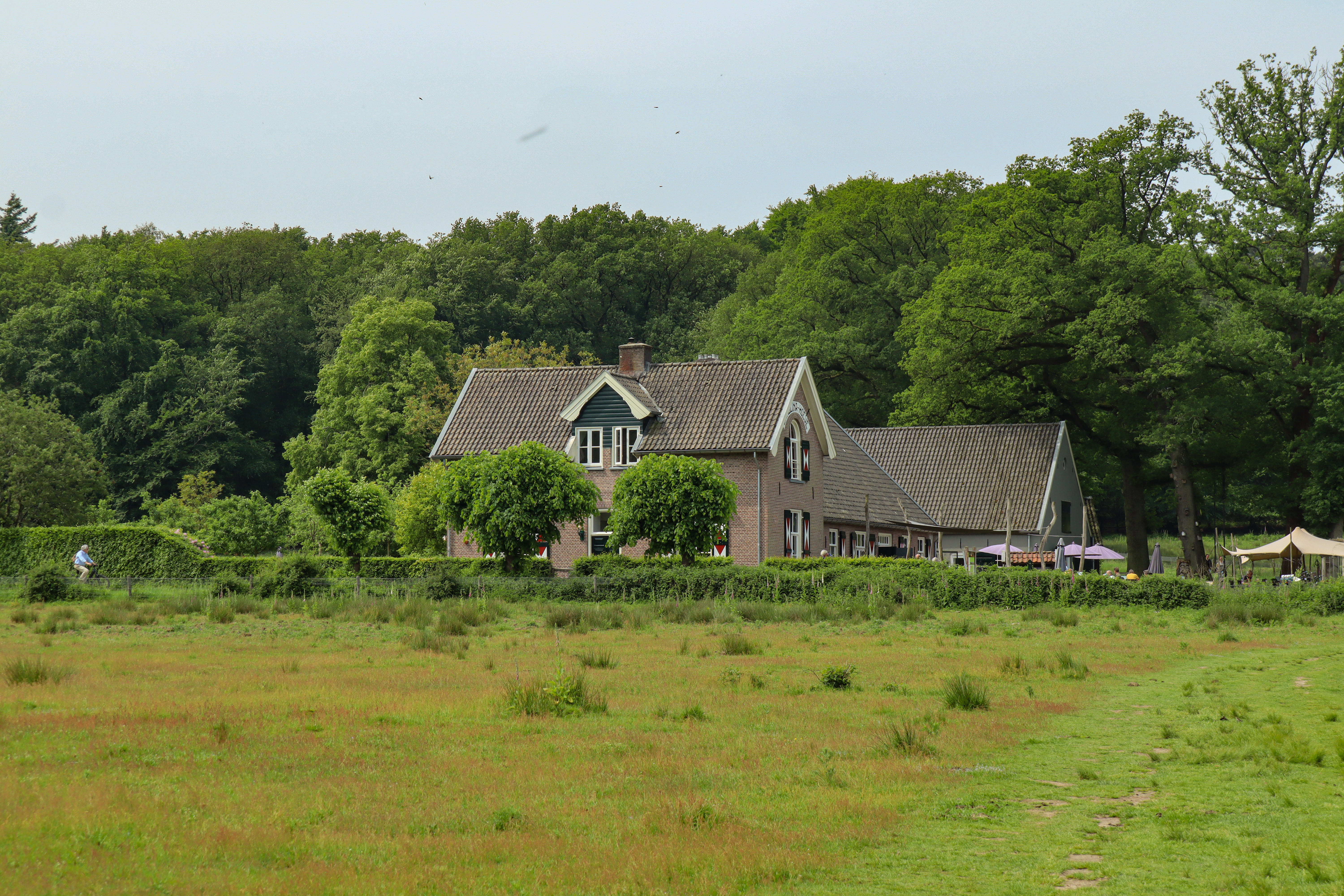 Carolinahoeve langs de NS-wandeling Veluwezoom
