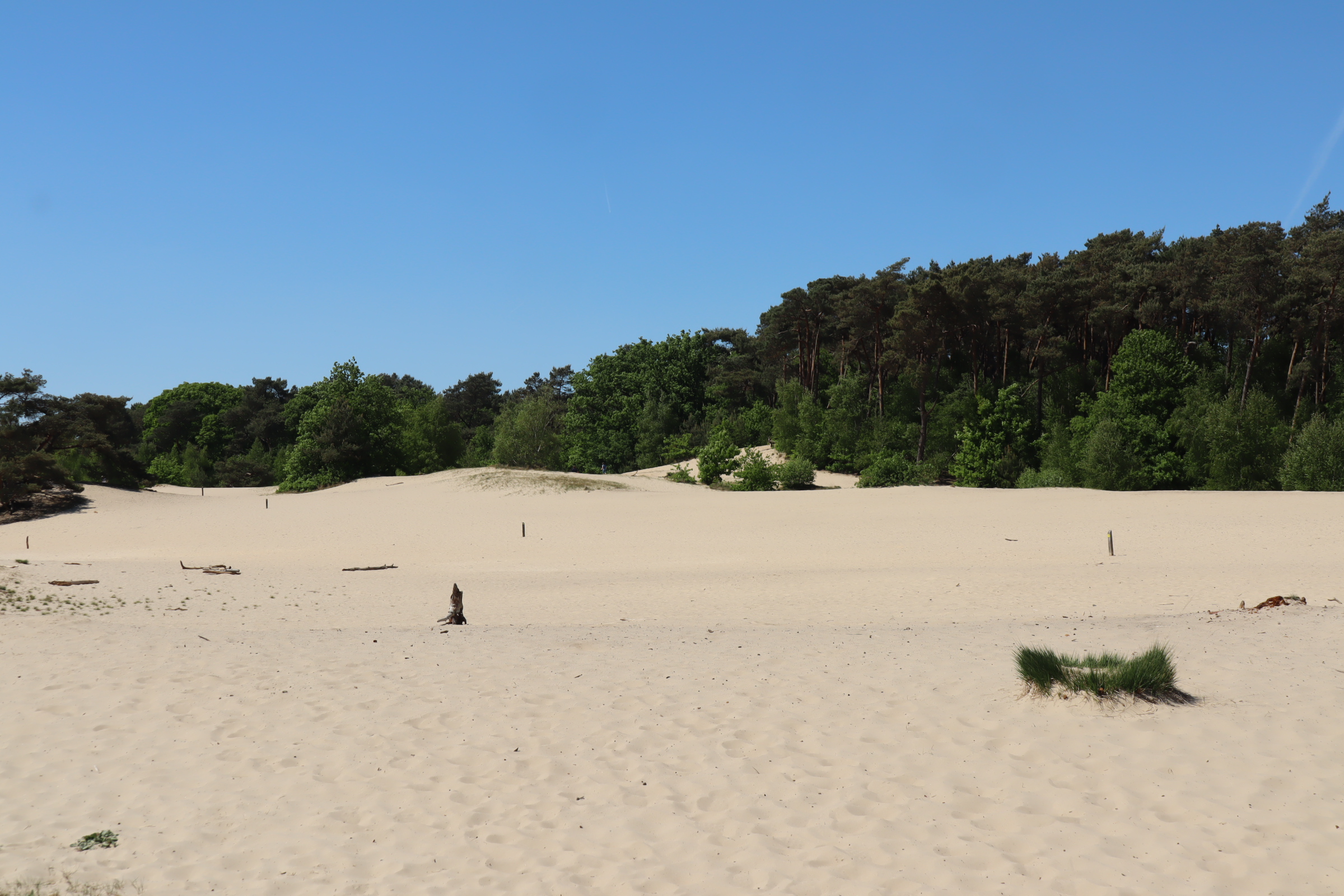 Stuifzand tijdens de Roestelbergroute in de Loonse en Drunense Duinen