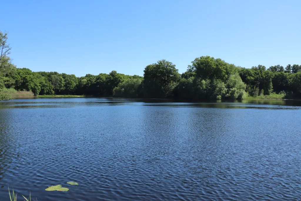 The Kuijkse Wiel near Nieuwkuijk