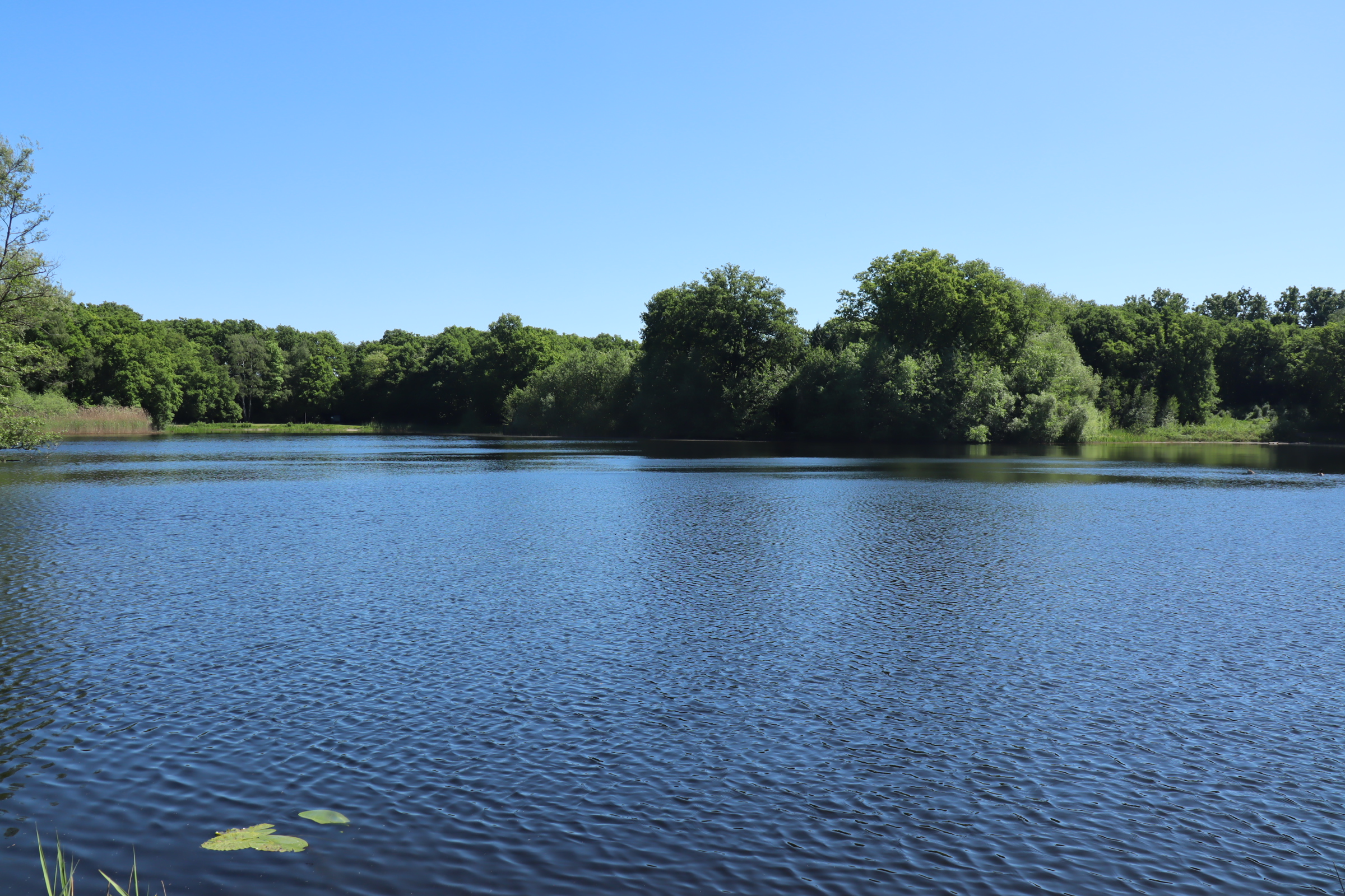 Kuijkse Wiel along the Mandigerspad