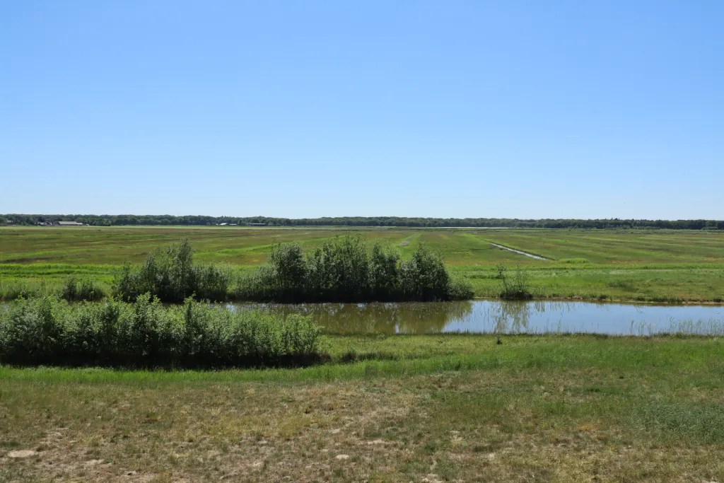 Historic Heidijk along the Mandigerspad
