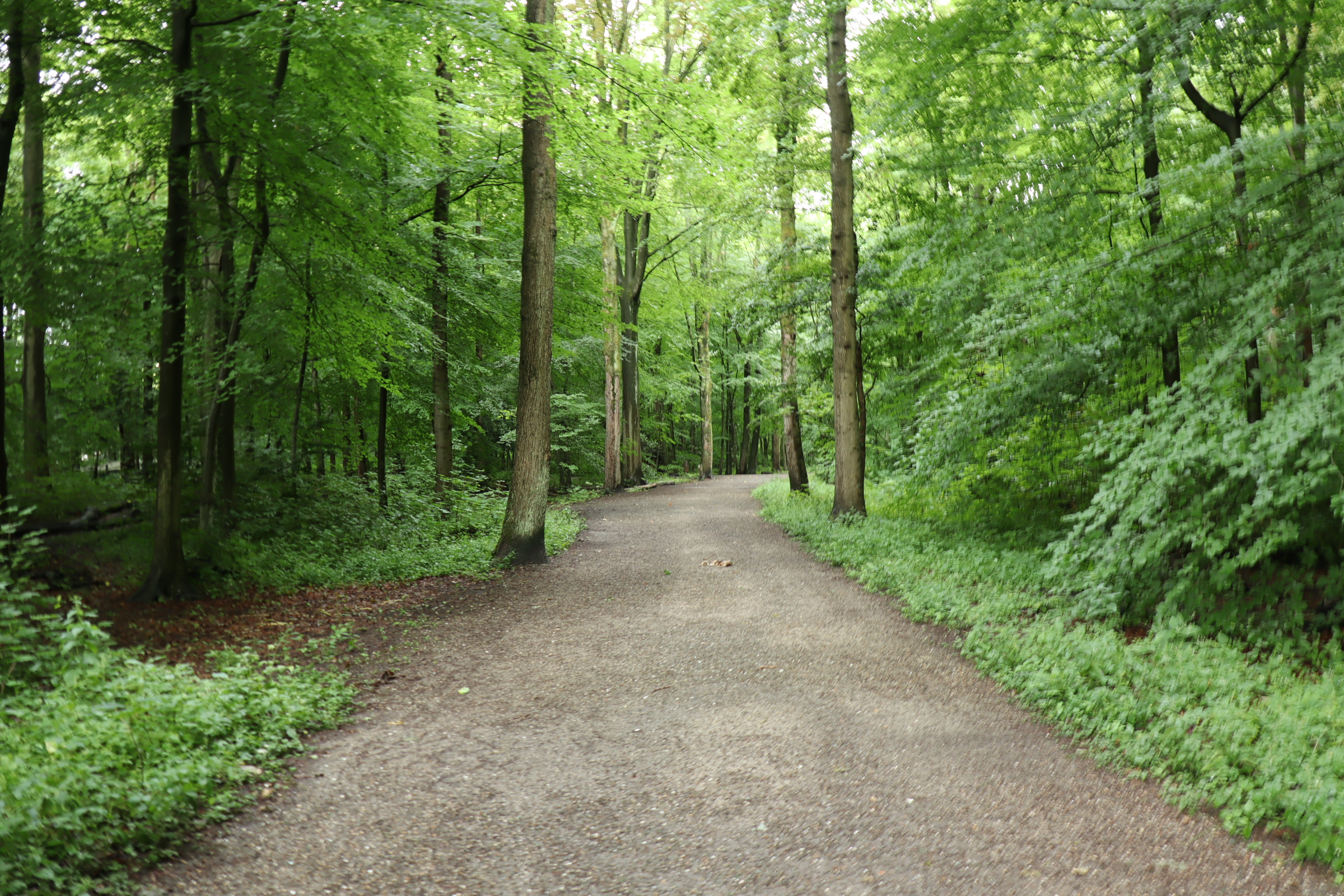 Pelgrimspad, kaarten 4–6, landschap onderweg