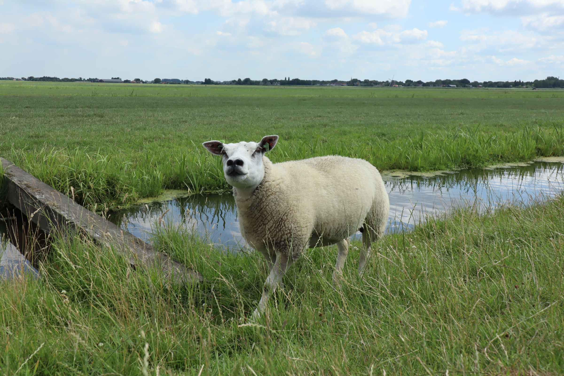Pelgrimspad, kaarten 10–11, landschap onderweg