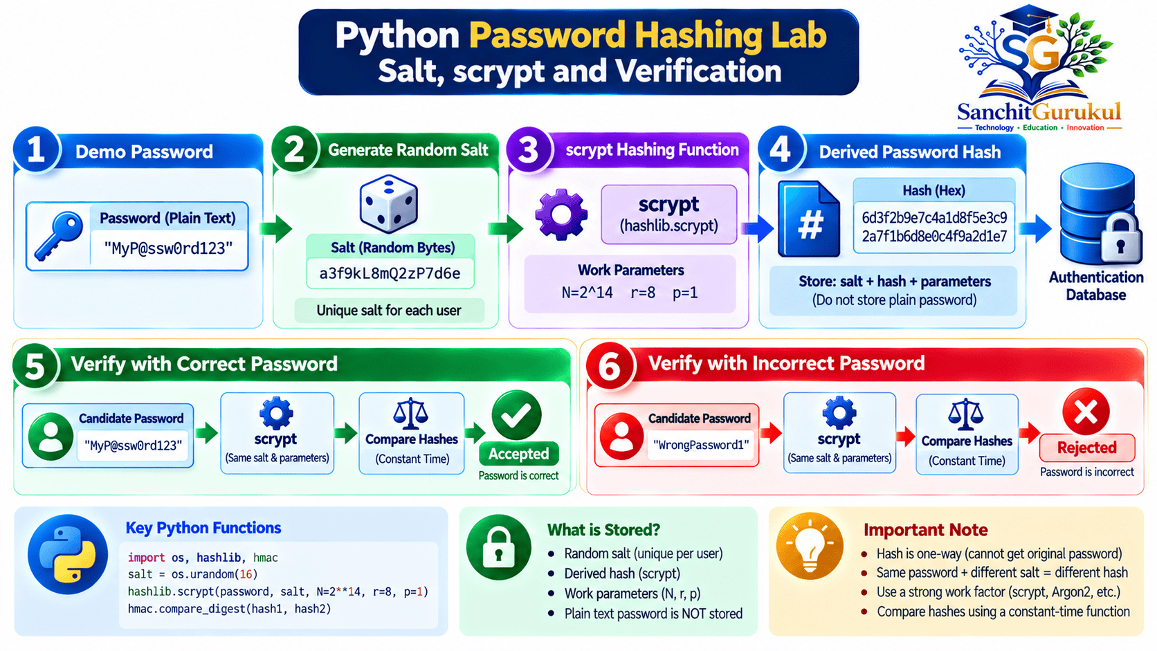 Python Password Hashing Lab Infographic
