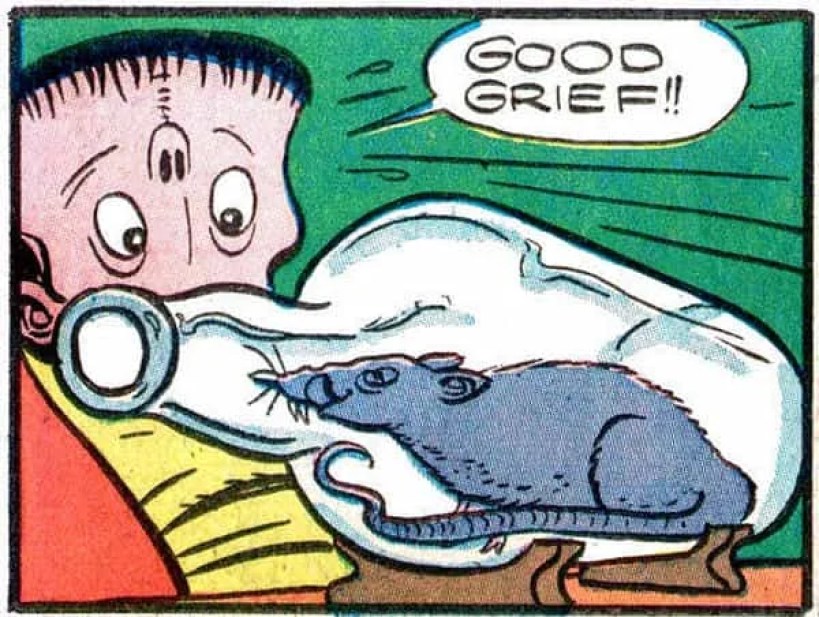 good grief