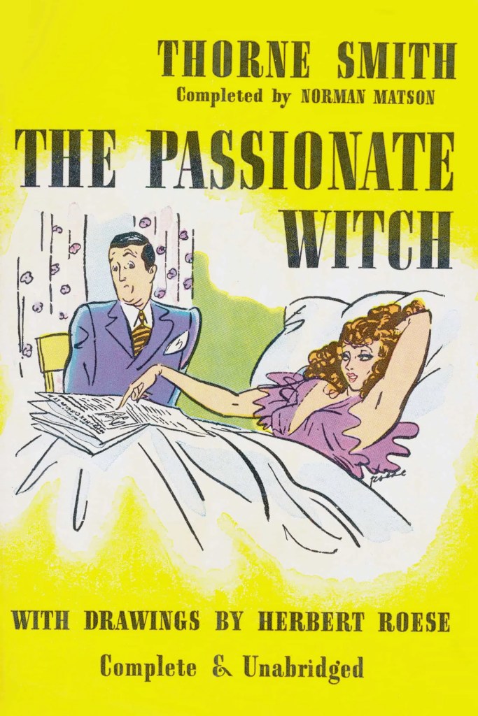i married a witch book cover