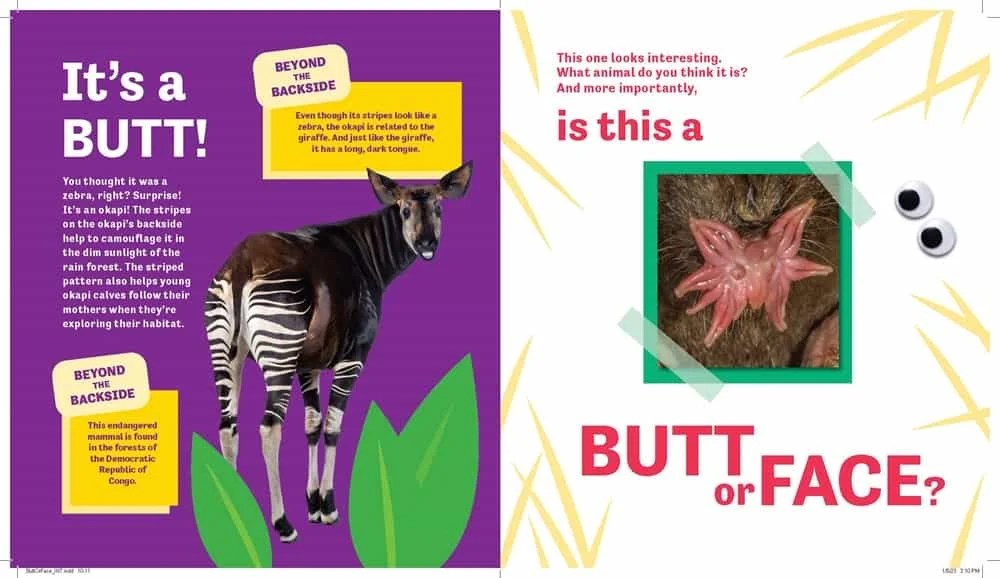 butt or face 3