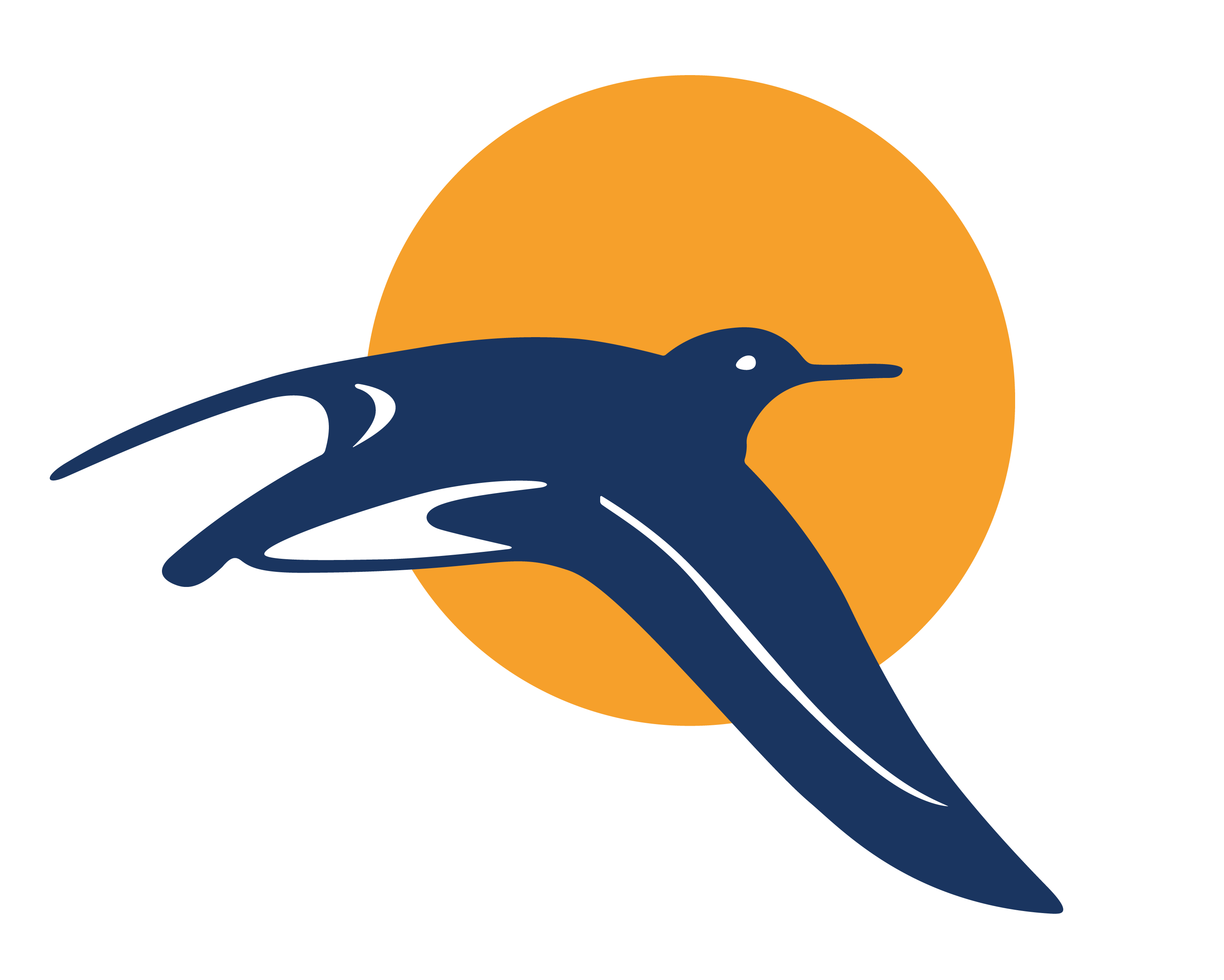 SandpiperIcon