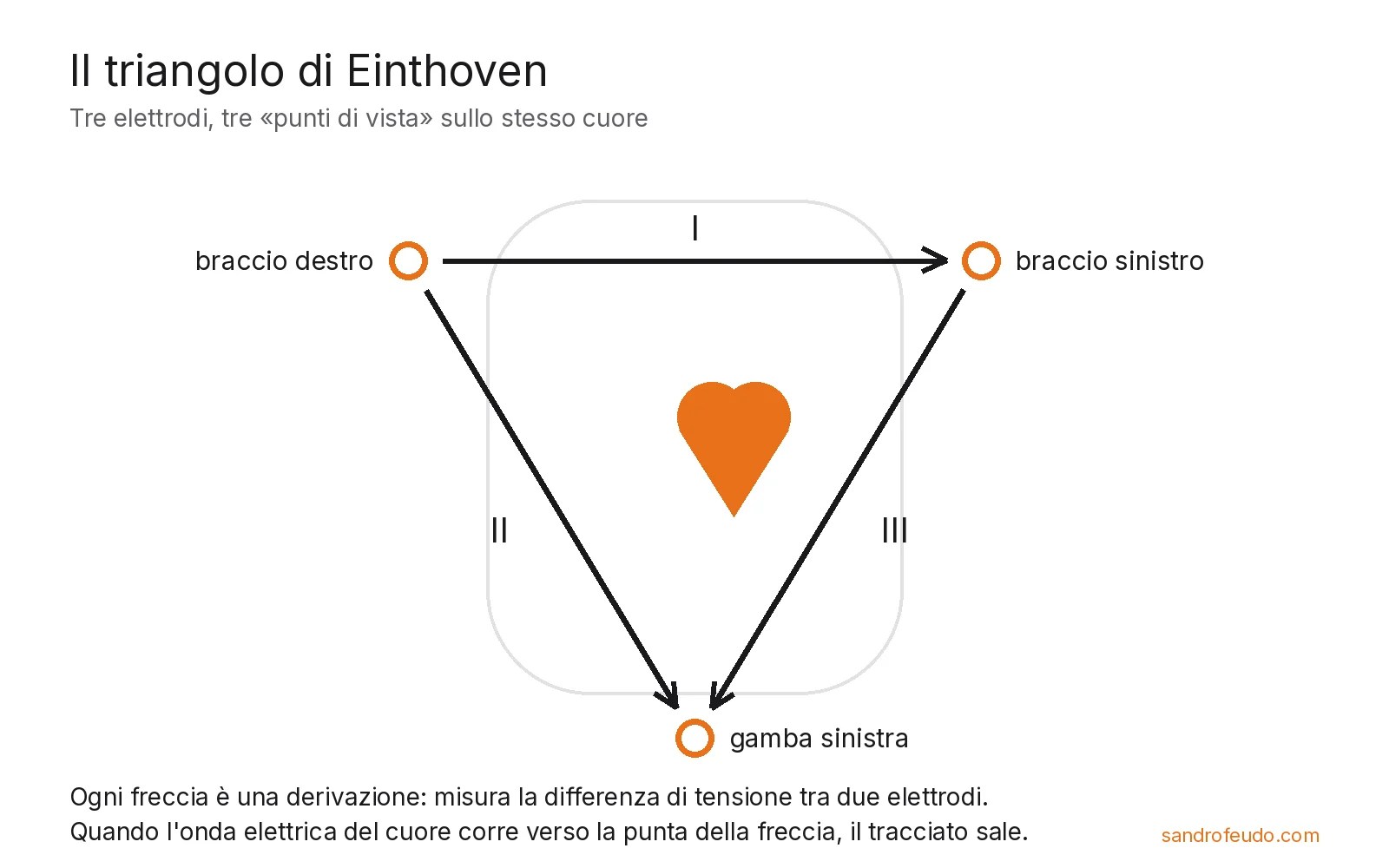 Triangolo di Einthoven: elettrodi su braccio destro, braccio sinistro e gamba sinistra, con le derivazioni I, II e III intorno al cuore