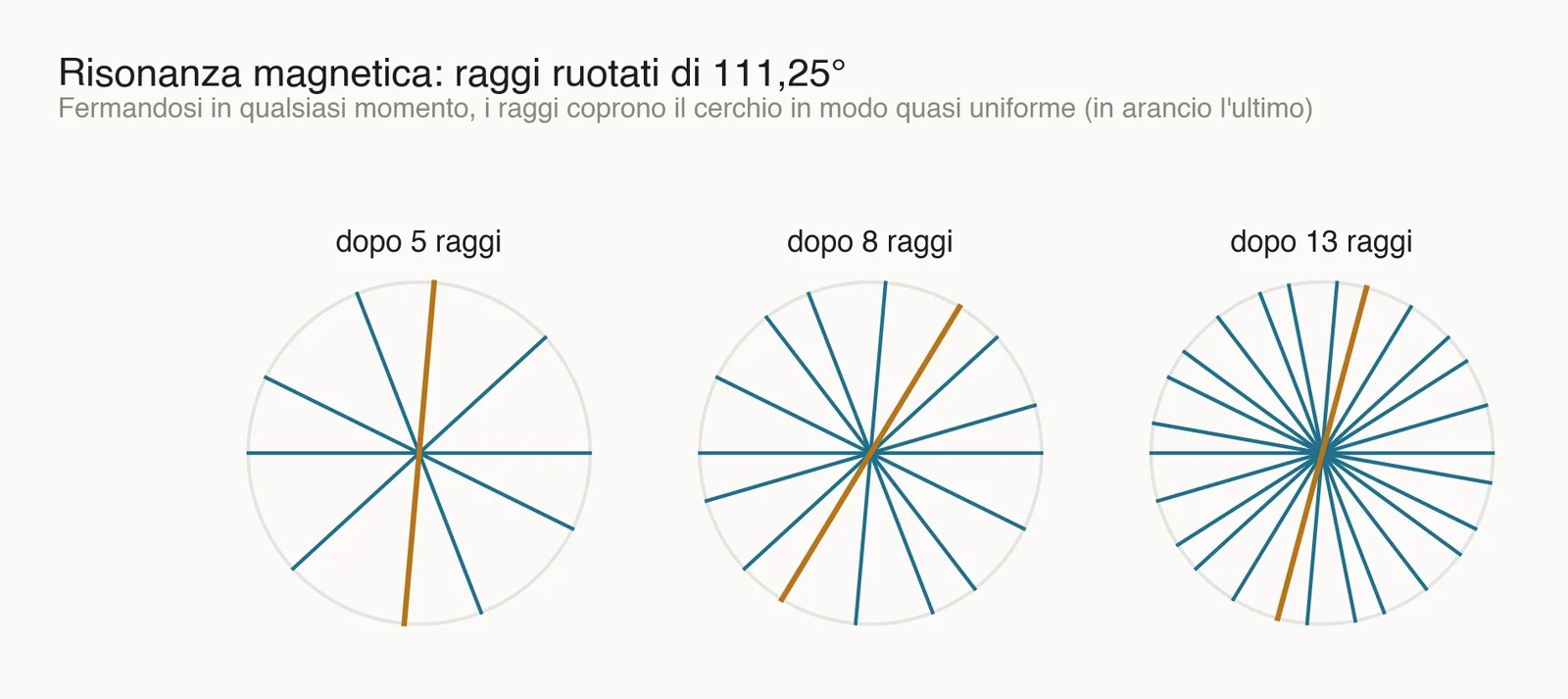 Tre cerchi con raggi ruotati ogni volta di 111,25 gradi: dopo 5, dopo 8 e dopo 13 raggi la copertura del cerchio è sempre quasi uniforme; l'ultimo raggio è in arancione