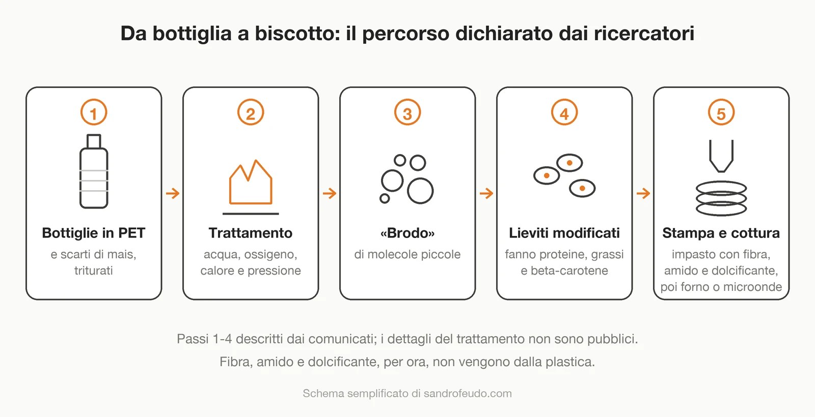 Schema in cinque passi: bottiglie, trattamento, brodo di molecole, lieviti, stampa e cottura