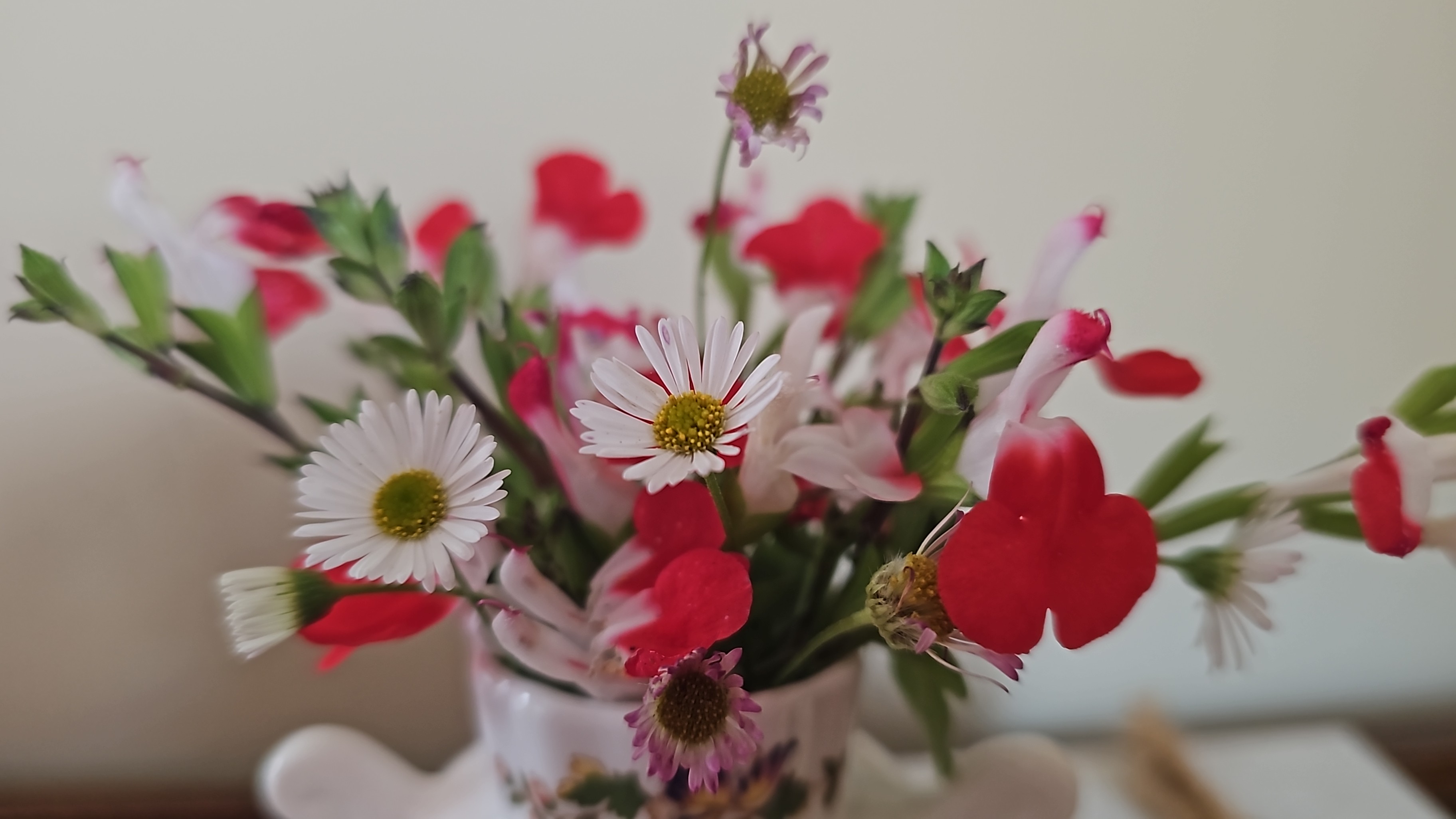 Red and white
