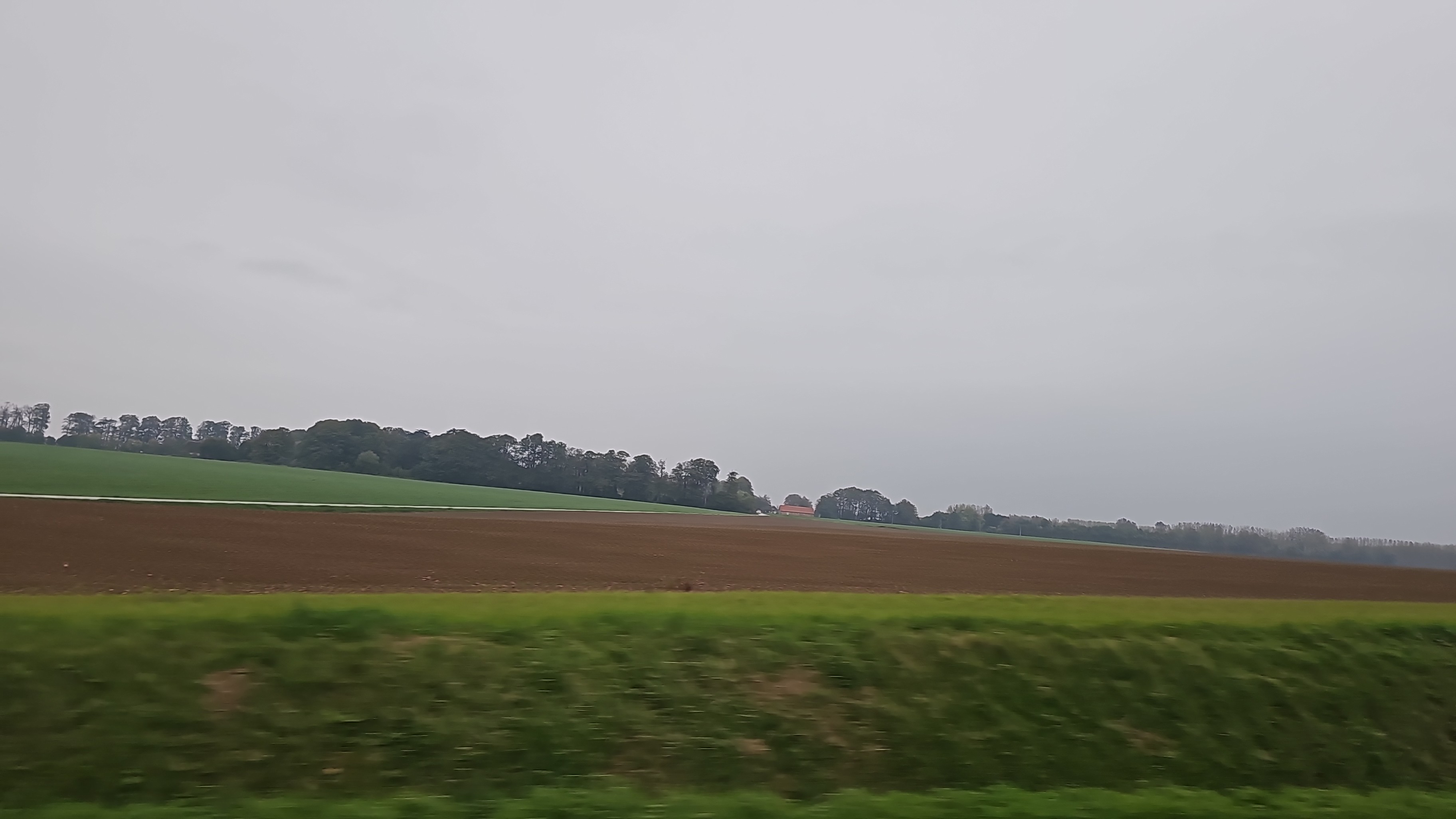 From the garden to travel winter 2026/2027