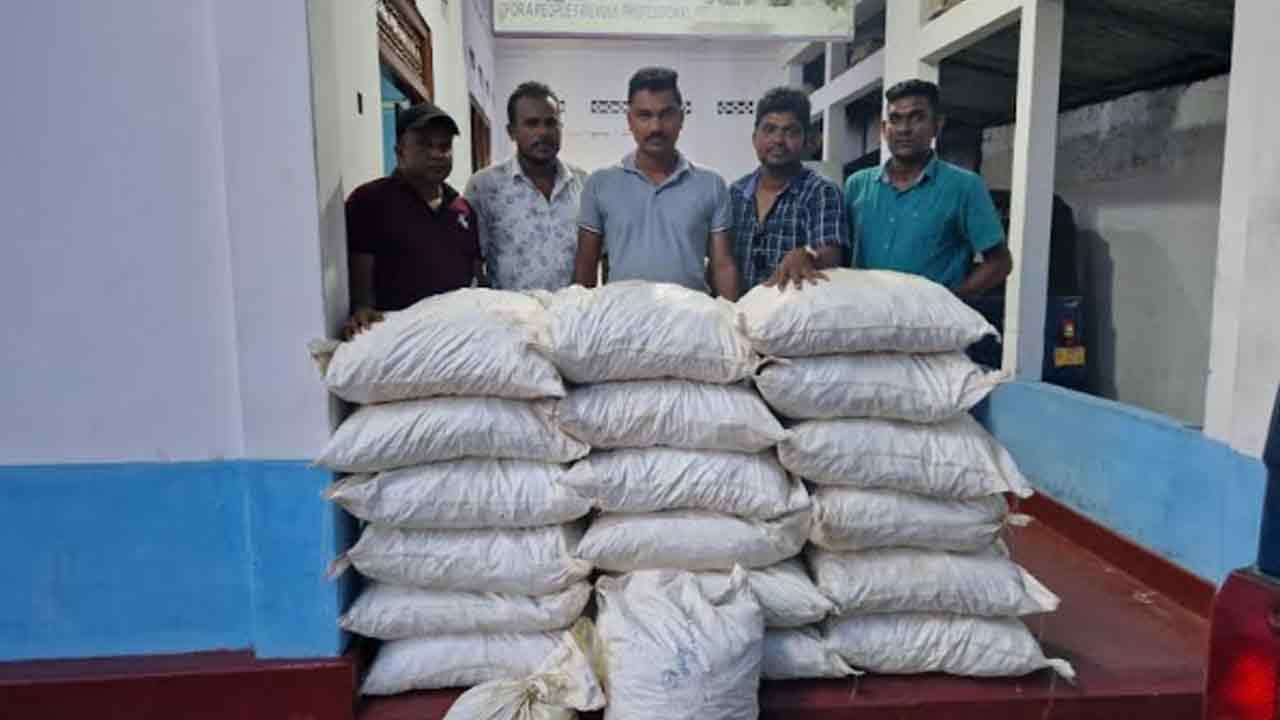 சட்டவிரோதமாக கடத்தப்பட்டமஞ்சள் தொகை பறிமுதல்