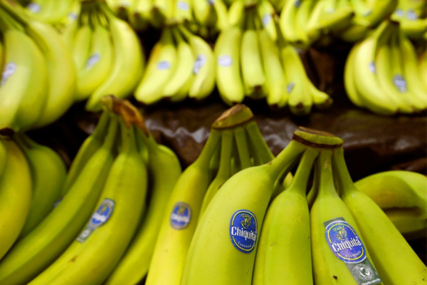 கனடாவில் வாழைப்பழங்களுக்கு தட்டுப்பாடு ஏற்படும் அபாயம்…!