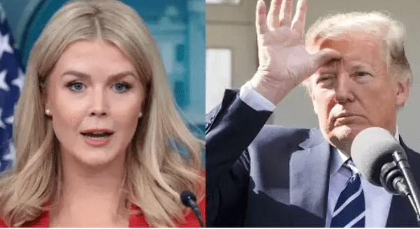 6 போர்களை நிறுத்திய டிரம்புக்கு அமைதிக்கான நோபல் பரிசு வழங்க வேண்டும் – வெள்ளை மாளிகை