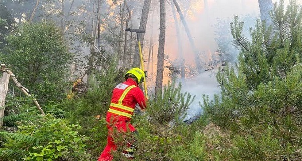 Firefighter in red turnout gear and helmet fights a brush fire in a wooded area, with smoke and flames visible behind him/shelves of trees behind him.