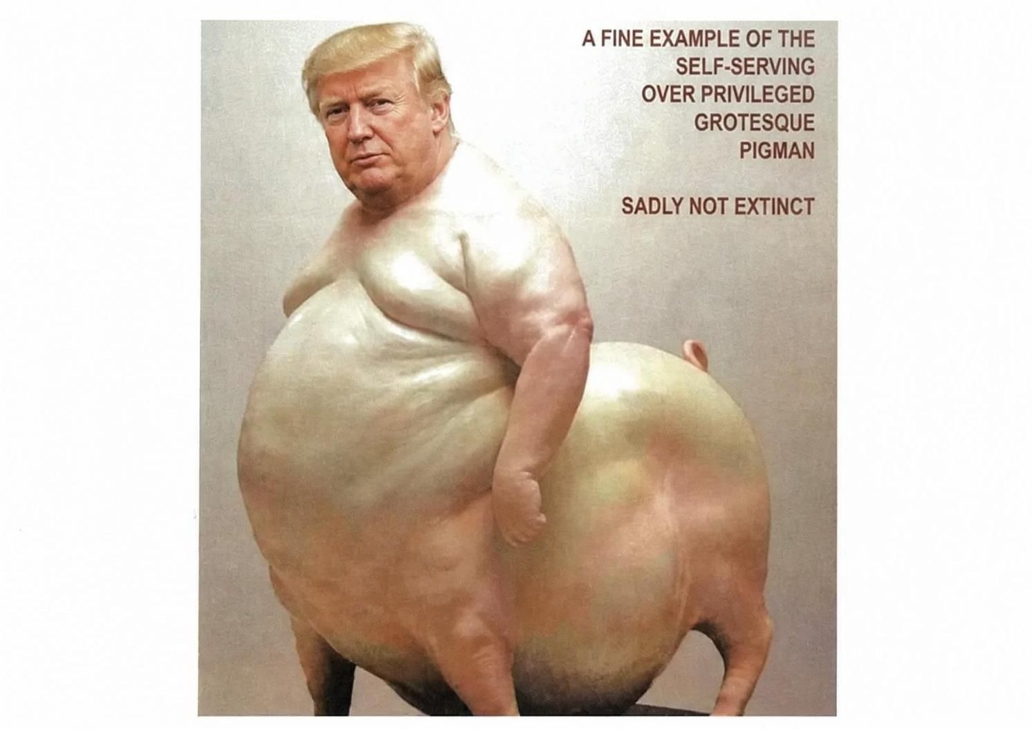 Caricature of a man’s head on a very large pig body with the caption: 'A FINE EXAMPLE OF THE SELF-SERVING OVER PRIVILEGED GROTESQUE PIGMAN SADLY NOT EXTINCT'.