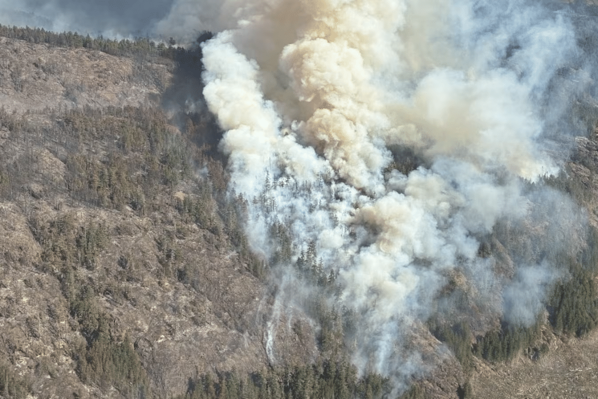 Smoke plumes rising from a forested mountainside as a wildfire burns the rocky slope